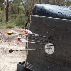 Clay Pigeon Shooting, Archery, Crossbows, Air Rifle Ranges, Axe Throwing, Laser Clays, Shooting - Live Rounds Terrigal, New South Wales