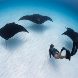 Scuba Diving Mulgundawa, South Australia