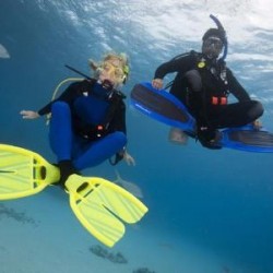 Scuba Diving Ghan, Northern Territory
