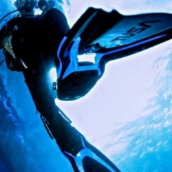 Scuba Diving Sydney, New South Wales