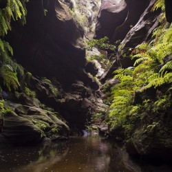 Canyoning Gold Coast, Queensland