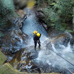Canyoning Blue Mountain, New South Wales