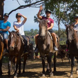 Horse Riding, Llama Trekking, Camel Trekking, Mountain Biking, Extreme Horse Riding, Bike Tours Brisbane, Queensland