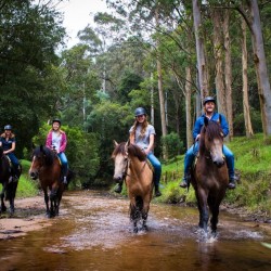 Horse Riding Terrigal, New South Wales
